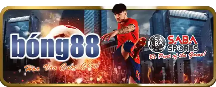 Trực tiếp HD vnew88